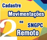 SNGPC Remoto 2